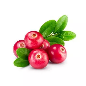 EPS Cranberry Pileje Phytostandard