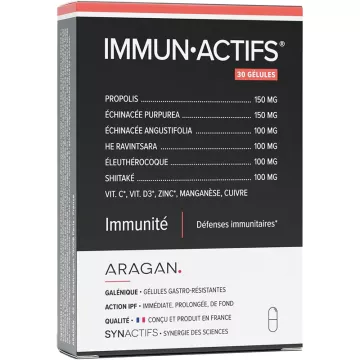 Synactifs Immunactifs Immunité 30 gélules