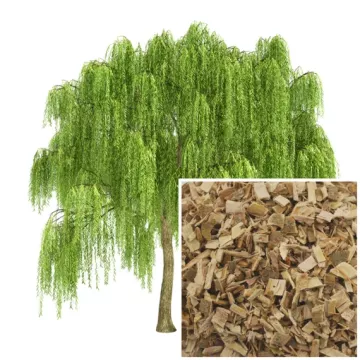 EPS Pileje Willow Bark fluid extract