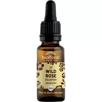 Biofloral Bach Flower Remedies 37 Wild Rose Granulado sem álcool