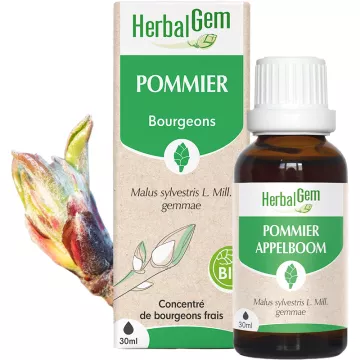 Herbalgem Macerat Moederappel Bio 30 ml