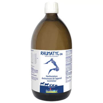 Rhumatyl GA Solution Buvable Rhumatismes Boiron 1 L