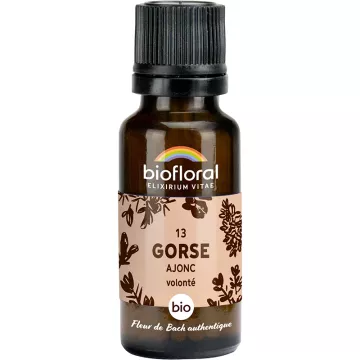 Biofloral Bach bloesemremedies 13 Gorse alcoholvrije korrels