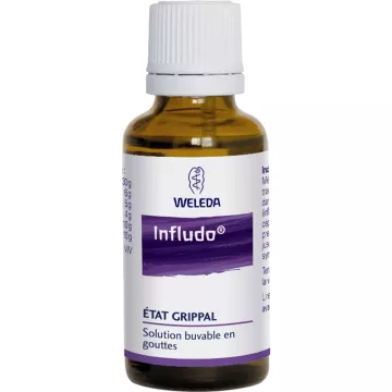 INFLUDO INFLUENZA STATO SOLUZIONE ORALE 30ML WELEDA