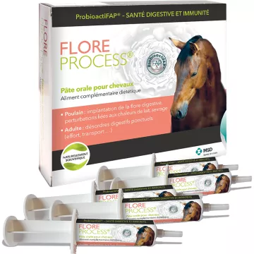 Flore process Cheval Poulain 5 seringues 20 ml 