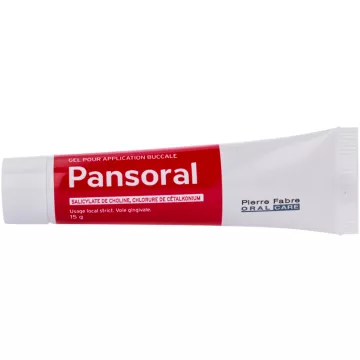 Pansoral Gel Pour Application Buccale 15 g   