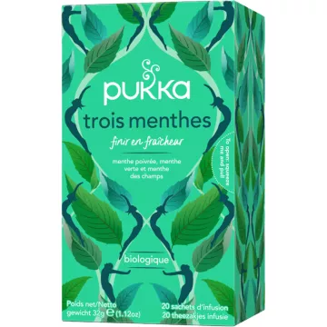 Pukka Bio Herbal tea digestion 3 mints 20 infusion bags