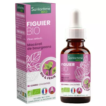 Santarome Fig Bud orgânico 30ml