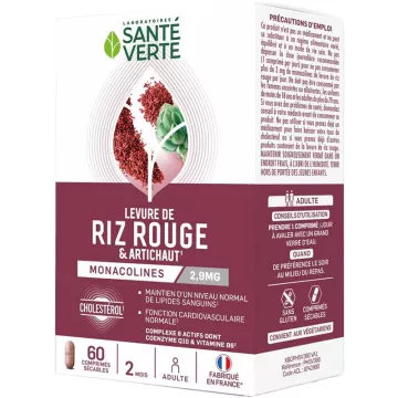 Santé-Verte Levure de Riz Rouge et Artichaut Cholestérol