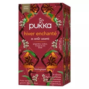 Pukka Bio Kräutertee Verzauberter Winter 20 Beutel