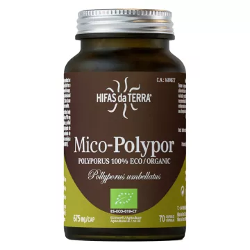 Hifas da Terra Mico-Polypor Polyporus Umbellatus Капсулы