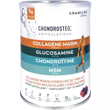 Granions Chondrosteo Kollagen 280 g