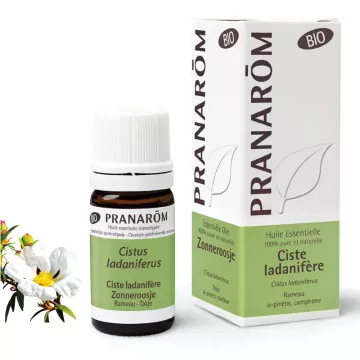 Organic essential oil Cistus ladaniferus PRANAROM 5ml