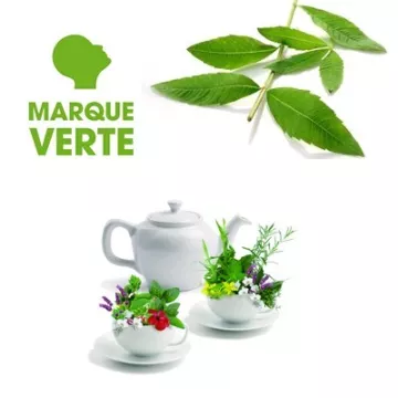 Verveine saco de perfusão FILTER verde marca BT25