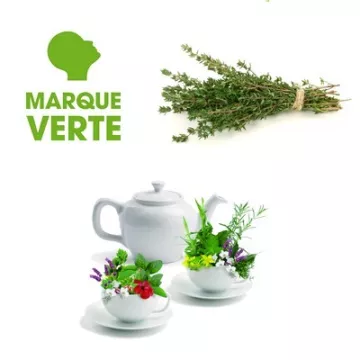 THYME TEA BAG filtro verde BT25 BRAND