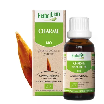 CHARM BUDS Herbalgem Gemacereerde GLYCERINE 30ML