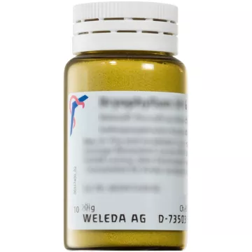 Weleda SILICEA D3 D12 D20 Homeopathic Trituration