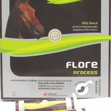 FLORA PROCESSO DE CAVALO POTRO 5 seringa de 20 ml