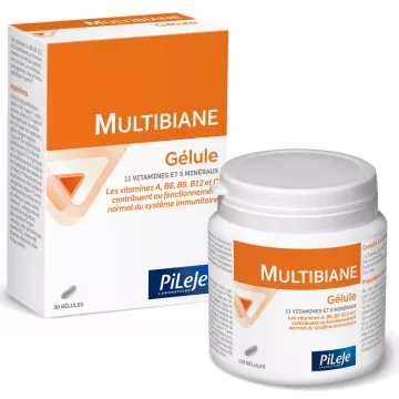 MULTIBIANE PILEJE CURE CURE 120 MULTI-VITAMIN CAPSULES