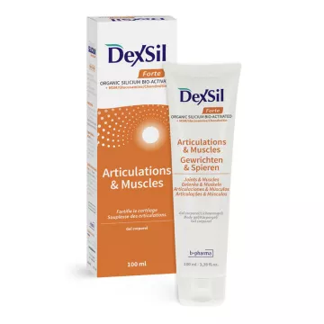 Dexsil Forte Articulations et Muscles Gel Corporel 100 ml