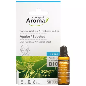 LE COMPTOIR AROMA  ROLL ON AUX HUILES ESSENTIELLES MAUX DE TÊTE 5ML