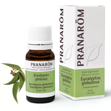 Eucalyptus Globulus Essential Oil 10ML Pranarom