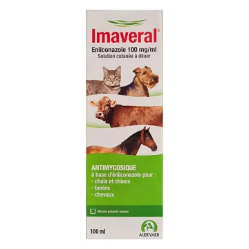 IMAVERAL antimycosique solution cutanée pour chats chiens