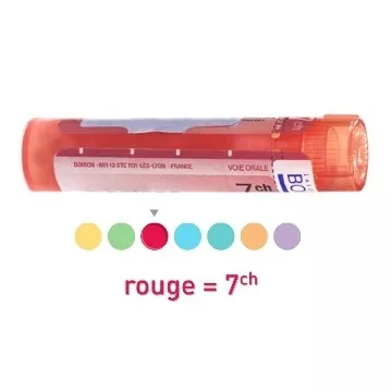 NERF OCCIPITAL D'ARNOLD 7CH Granules homéopathie Organothérapie Sarcode Boiron