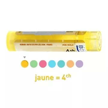 SURRENINE (SURRENALES) 4CH Granules homéopathie Organothérapie Sarcode Boiron