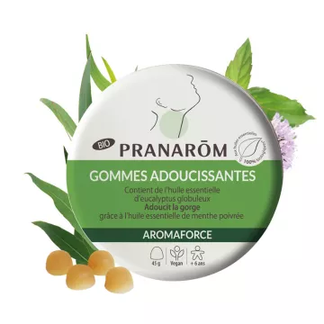 AROMAGOM Gommes à sucer PRANAROM eucalyptus