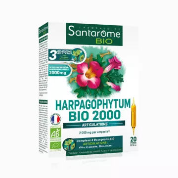 Santarome Harpagophytum Bio 2000 20 phials 10ml