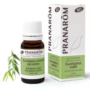 Eucalyptus radiata organic essential oil Pranarom