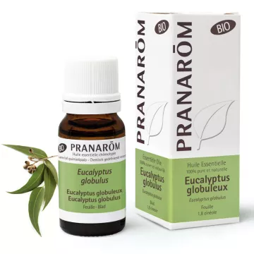 Organic essencial 10ml de óleo Eucalyptus globulus Pranarom