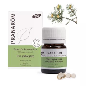 Pranarom Organic essential oil pearls of Scots Pine