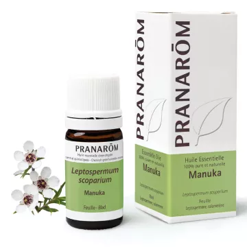 Manuka essential oil Pranarom Leptospermum scoparium