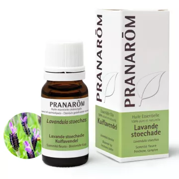 Pranarom Lavender Óleo Essencial de Lavanda 10ml borboleta stoechade