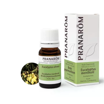 Pranarom mergulhos Eucalyptus 10ml de óleo essencial