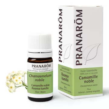 Pranarom Essencial óleo de camomila 5ml Noble