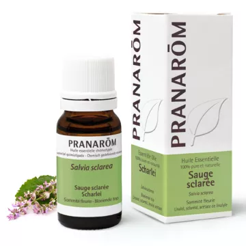 Pranarôm Huile essentielle Sauge sclarée Salvia sclarea 10ml