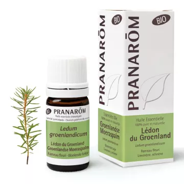 ORGANIC essential oil Lédon du Greenland PRANAROM 5ml