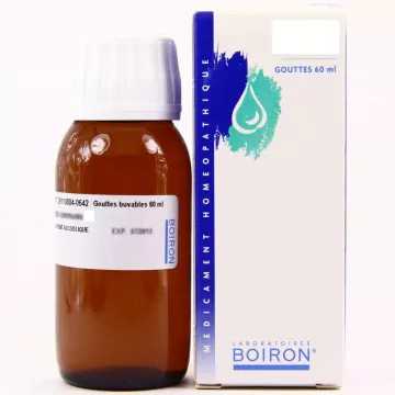 6DH Gouttes HOMEOPATHIE BOIRON 60ML