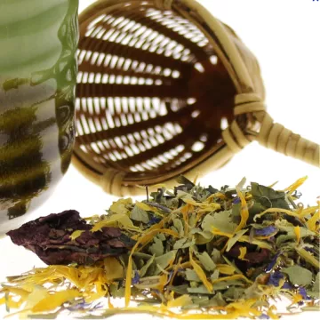 INFUSION SLIMMING HERBAL MEDICINAL PLANTS IN