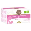 Gifrer Tisane Allaitement Bio Sachets d'infusion