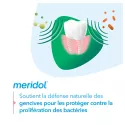 Meridol Safe Breath Mouthwash 400ml