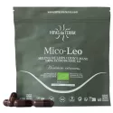 Hifas da Terra Mico-Leo Hericium Erinaceus Cápsulas