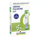 Ledum palustre 5CH - 3 tubes de granules homéopathiques - Boiron