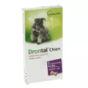 Drontal Chien Vermifuge en comprimés appétants Vetoquinol