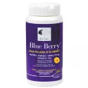 Blue Berry - Para os olhos e a visão New Nordic