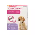 Beaphar Canicomfort Collar tranquilizante con feromonas para perros