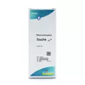 AESCULUS HIPPOCASTANUM 5C 4C 7 C9 C15C 30C 6X Tube pellets Homeopathy Boiron